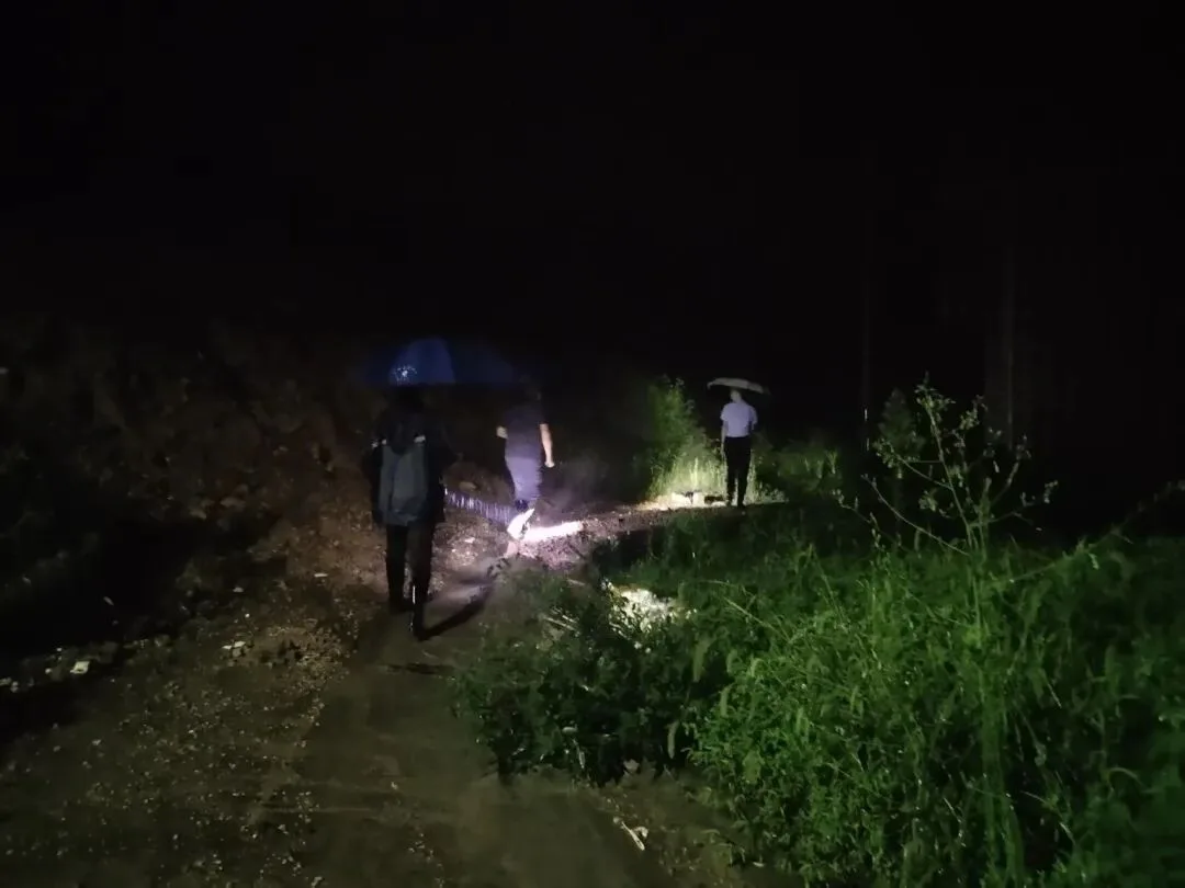 持续强降雨，泰顺连夜加强防御！ - 配图18