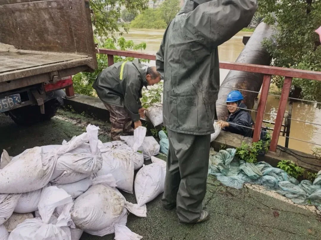 连续作战 风雨共济——温州全城戮力同心坚决打赢防御强降雨攻坚仗 - 配图2