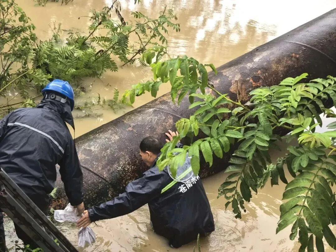 连续作战 风雨共济——温州全城戮力同心坚决打赢防御强降雨攻坚仗 - 配图3