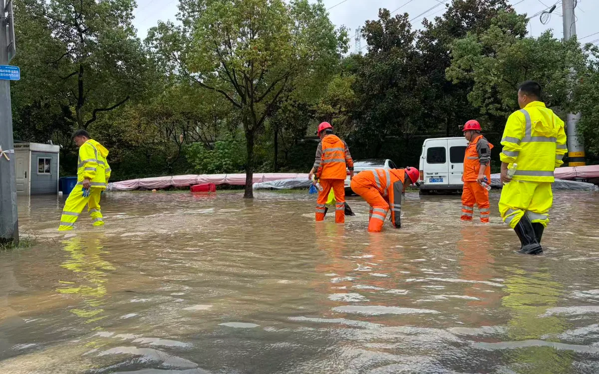 降雨量突破历史极值，苍南何以打赢这场防汛战？