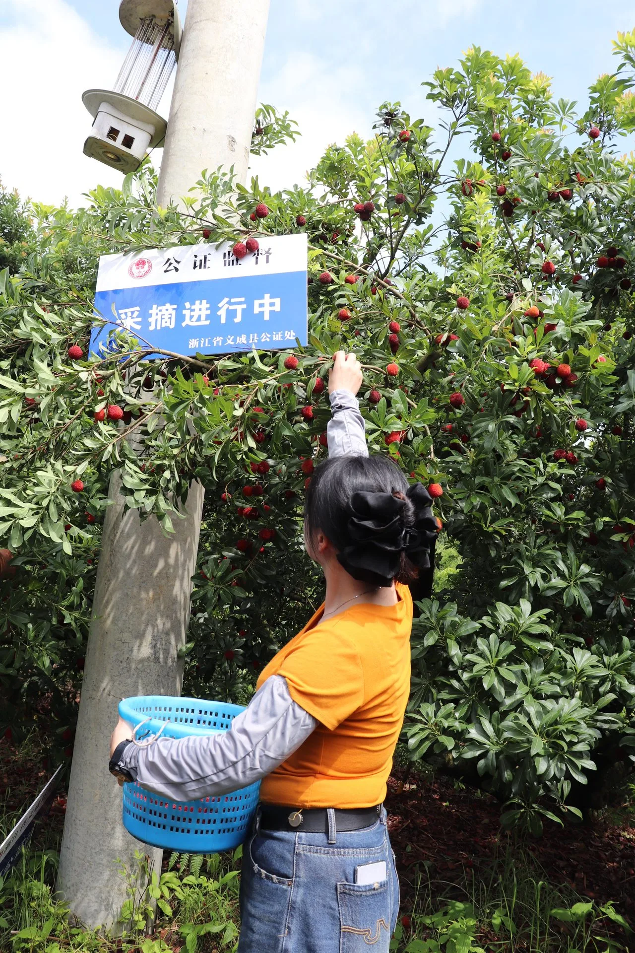 温州用一张公证书扭转信任危机