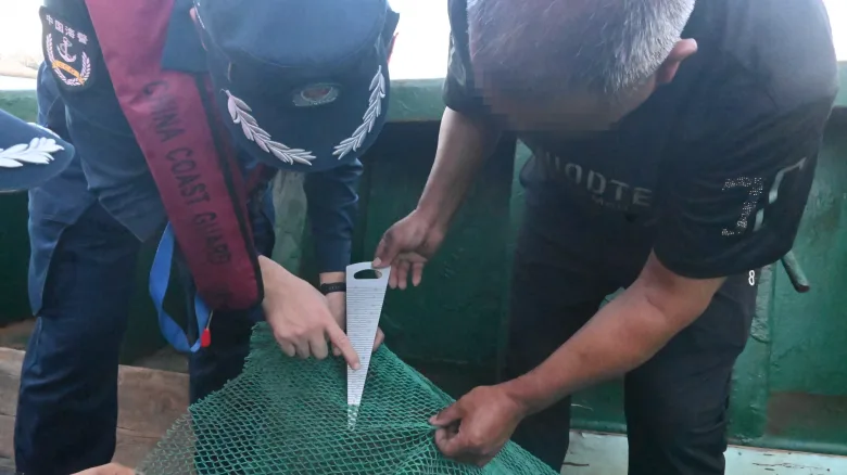 网目仅19毫米！温州港内查获“绝户网”，4艘渔船涉嫌非法捕捞