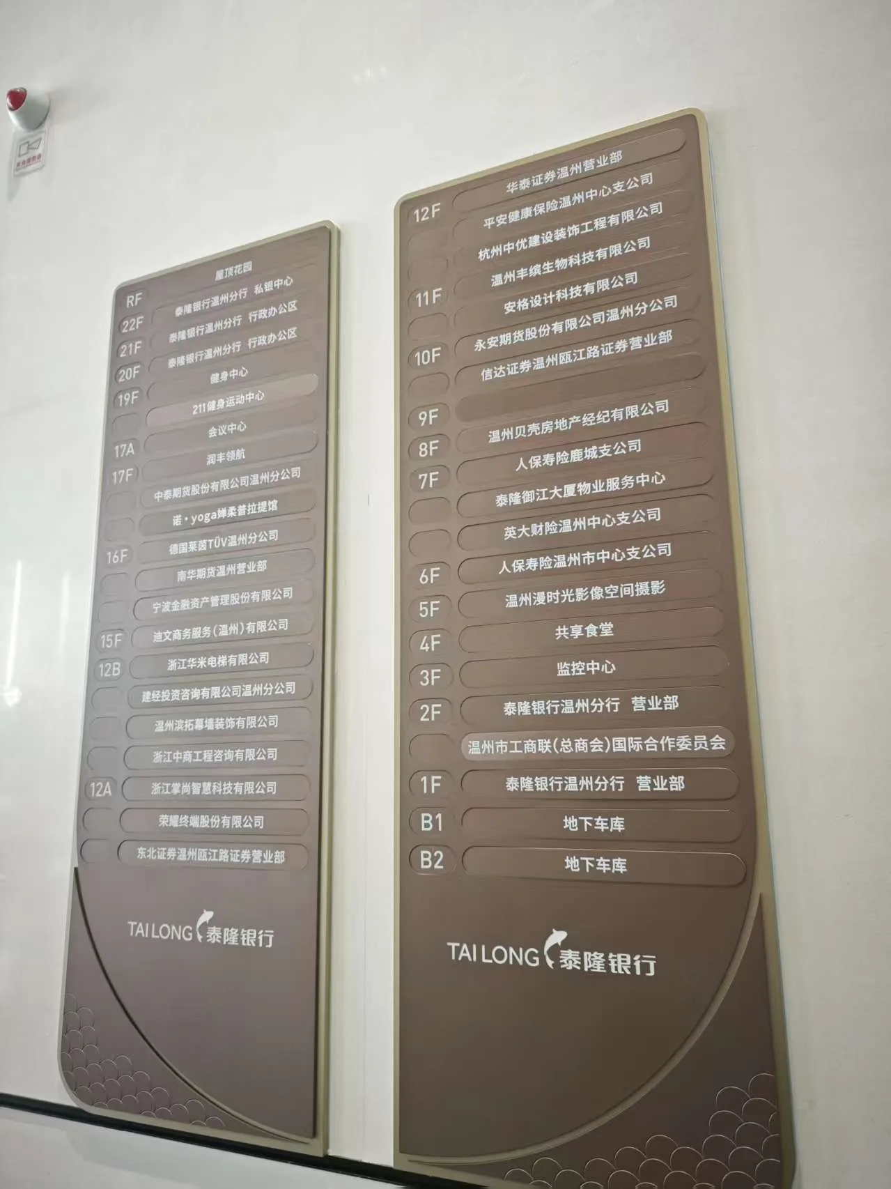 鹿城：新城向上生长 老城向内激活