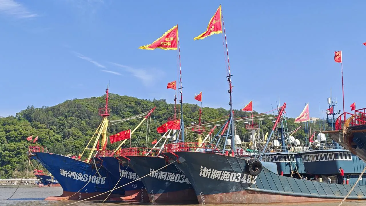 东海开渔啦！温州560余艘渔船扬帆出征，海鲜自由马上安排 - 配图2
