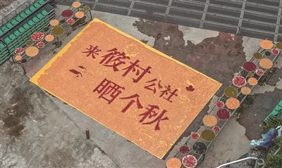 泰顺“晒秋” 把秋天铺成一幅画
