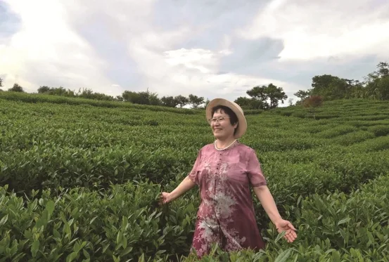 《温州女人》群演招募 草根“老戏骨”报名