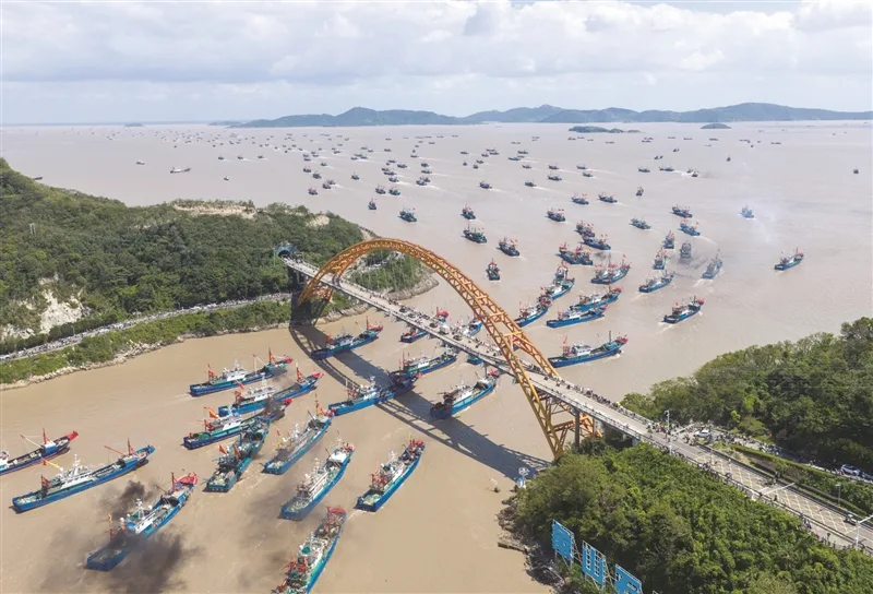 千帆竞发太壮观 “海鲜自由”来了
