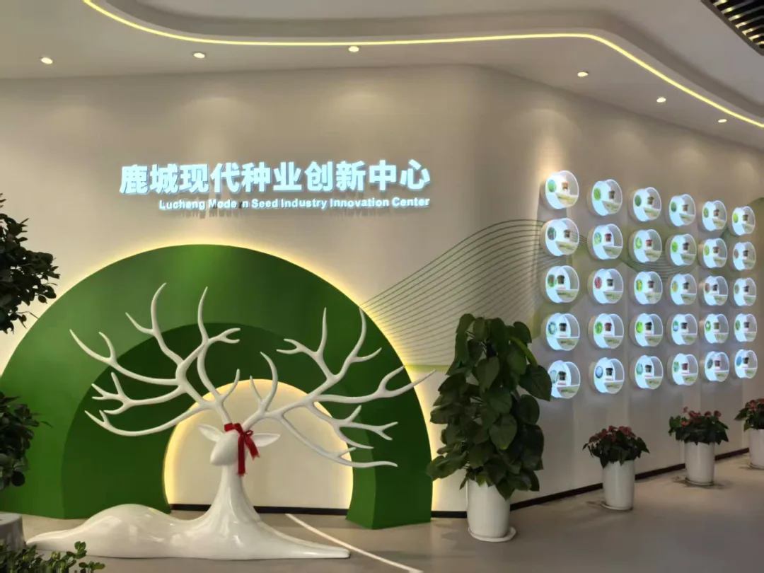 国家级科技小院，温州新增5家！