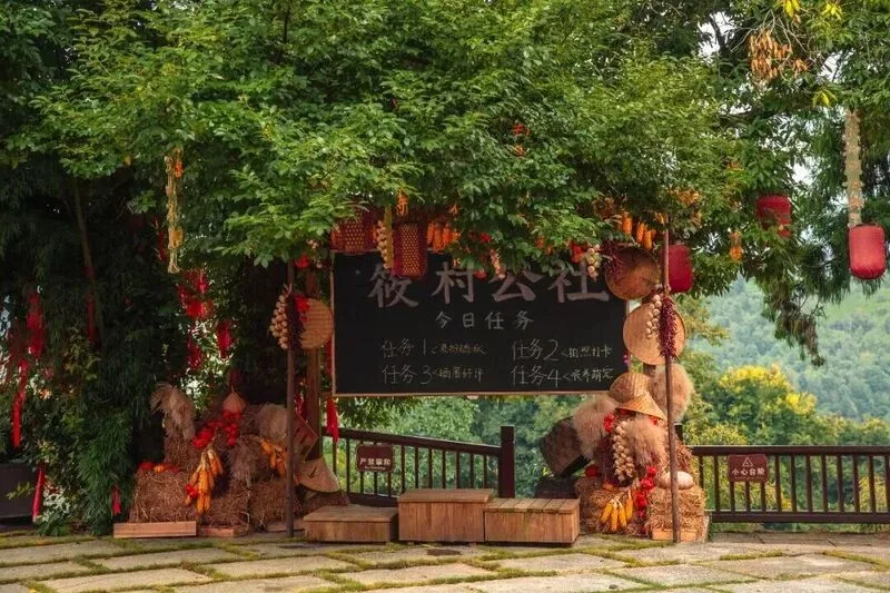这边开花，那边换装，远处晒秋！接下来的秋天，温州猛猛发力！ - 配图25