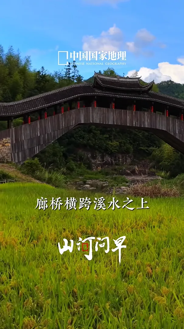 赞！泰顺文兴桥，登上《中国国家地理》视频号