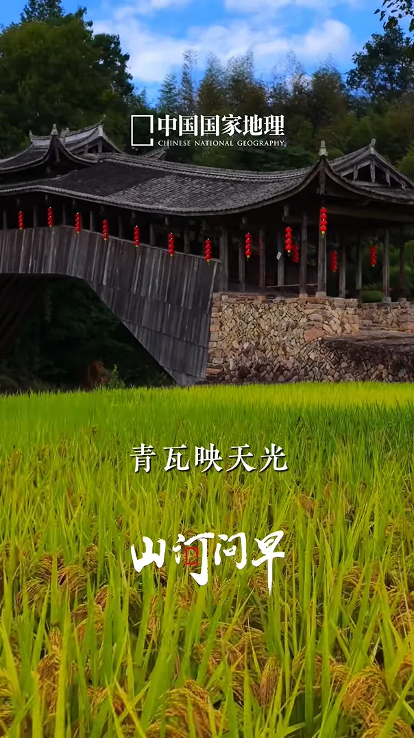 赞！泰顺文兴桥，登上《中国国家地理》视频号 - 配图2