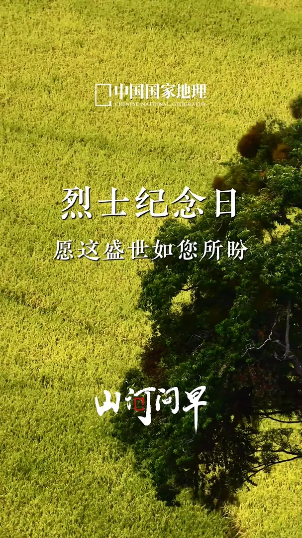 赞！泰顺文兴桥，登上《中国国家地理》视频号 - 配图3