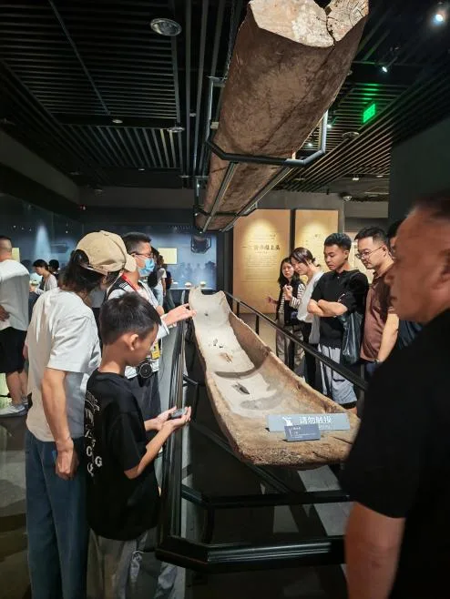 国庆假期市民走进文化场馆，乐享“文化充电” - 配图2