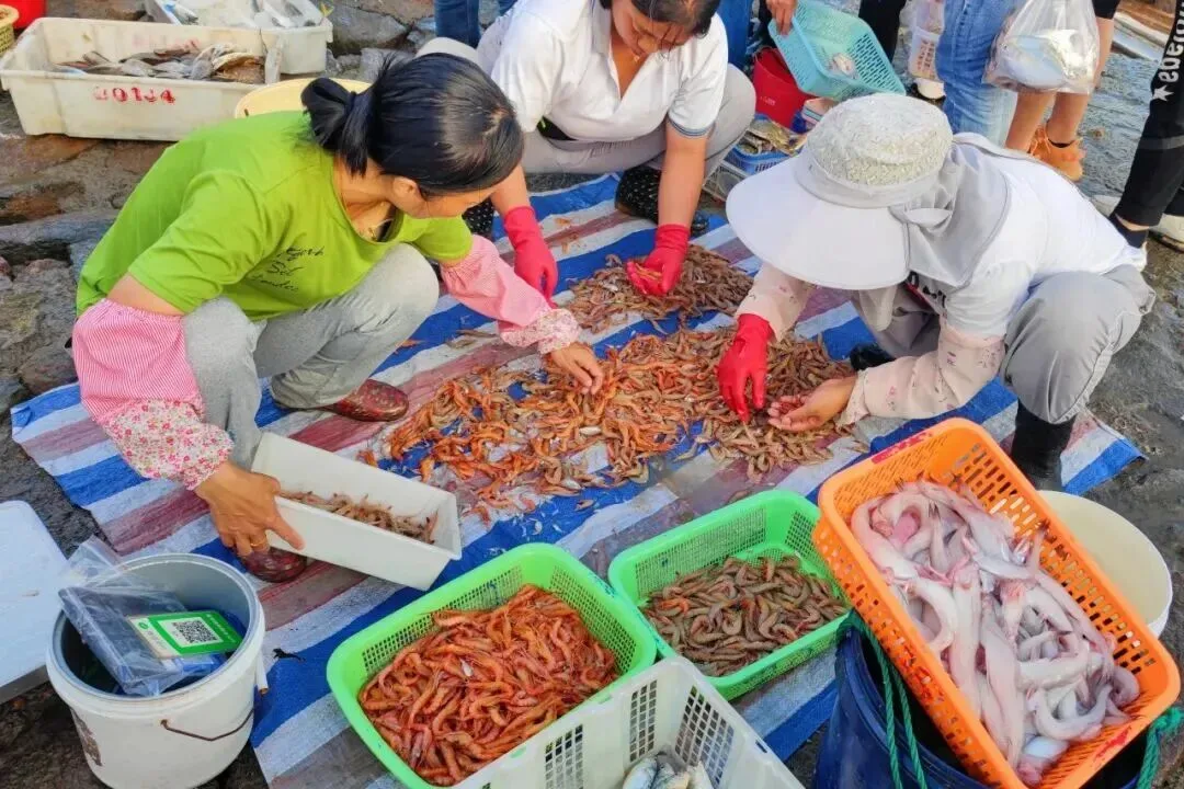 避开人潮，畅享美景，洞头本地人私藏！ - 配图24