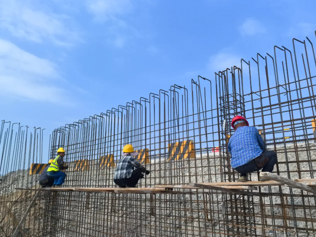 全速推进！龙港7.4公里海岸线加快“立体焕新”