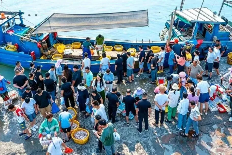 海上烟花秀、海边音乐会、海鲜管够……来洞头续享花样假期 - 配图13
