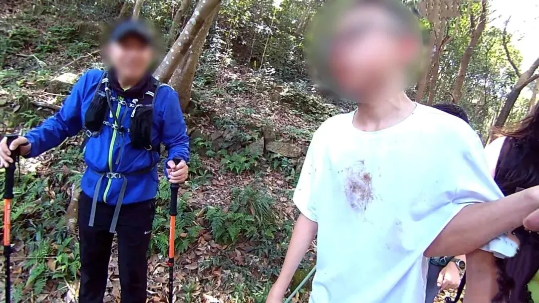 国庆出行千万要注意!母子游玩遭马蜂蜇咬滑落山坡 - 配图3