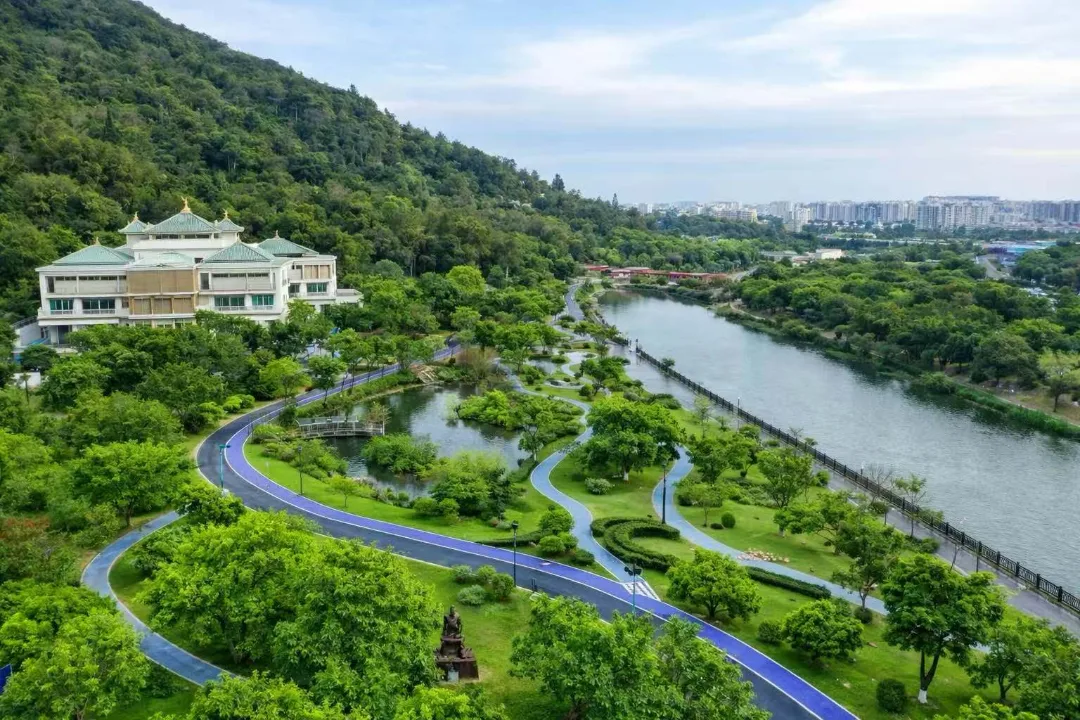 景美还免费！温州龙湾13万平亲水IP公园等你来 - 配图2