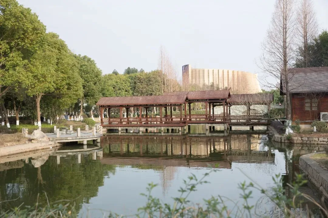 景美还免费！温州龙湾13万平亲水IP公园等你来 - 配图4