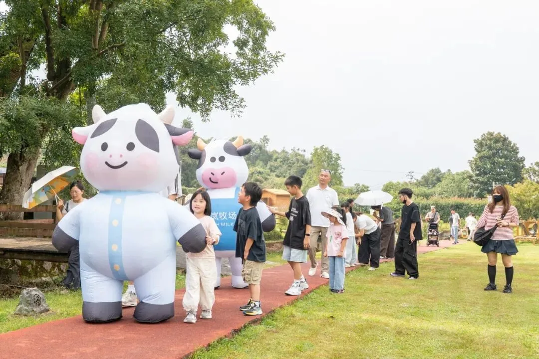 5天38万人次赴约！泰顺国庆秋天热度不减 - 配图8