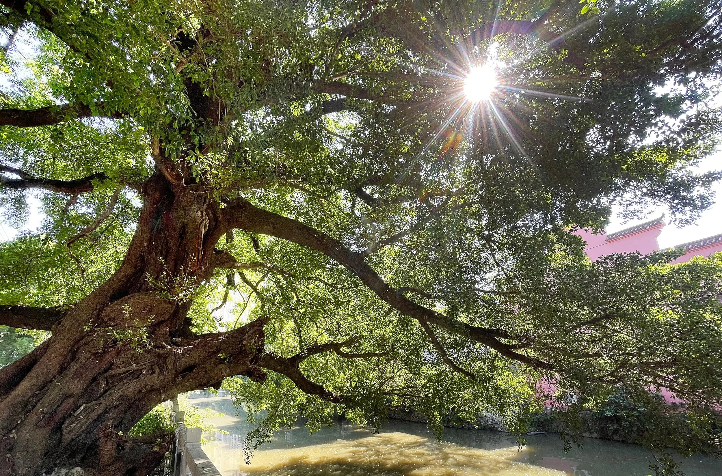 溯骑温瑞塘河，就像一首秋天写的诗 - 配图2
