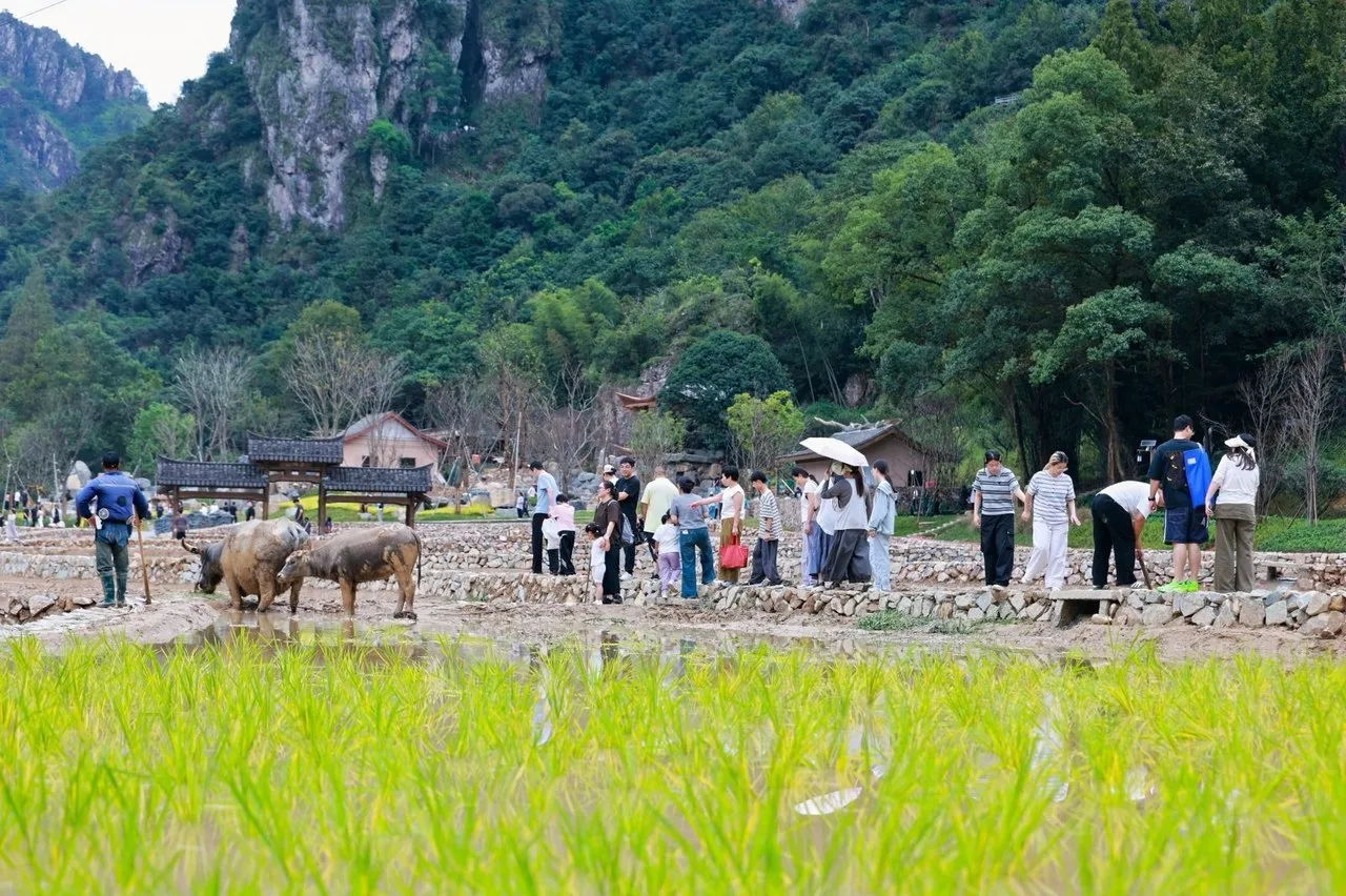 “潮”涌山海 “乐”游平阳 多元业态点燃平阳假日文旅新热潮