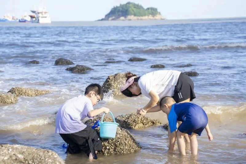 来苍南，登玉苍、访碗窑、逐海露营，解锁浙南山海画卷 - 配图15