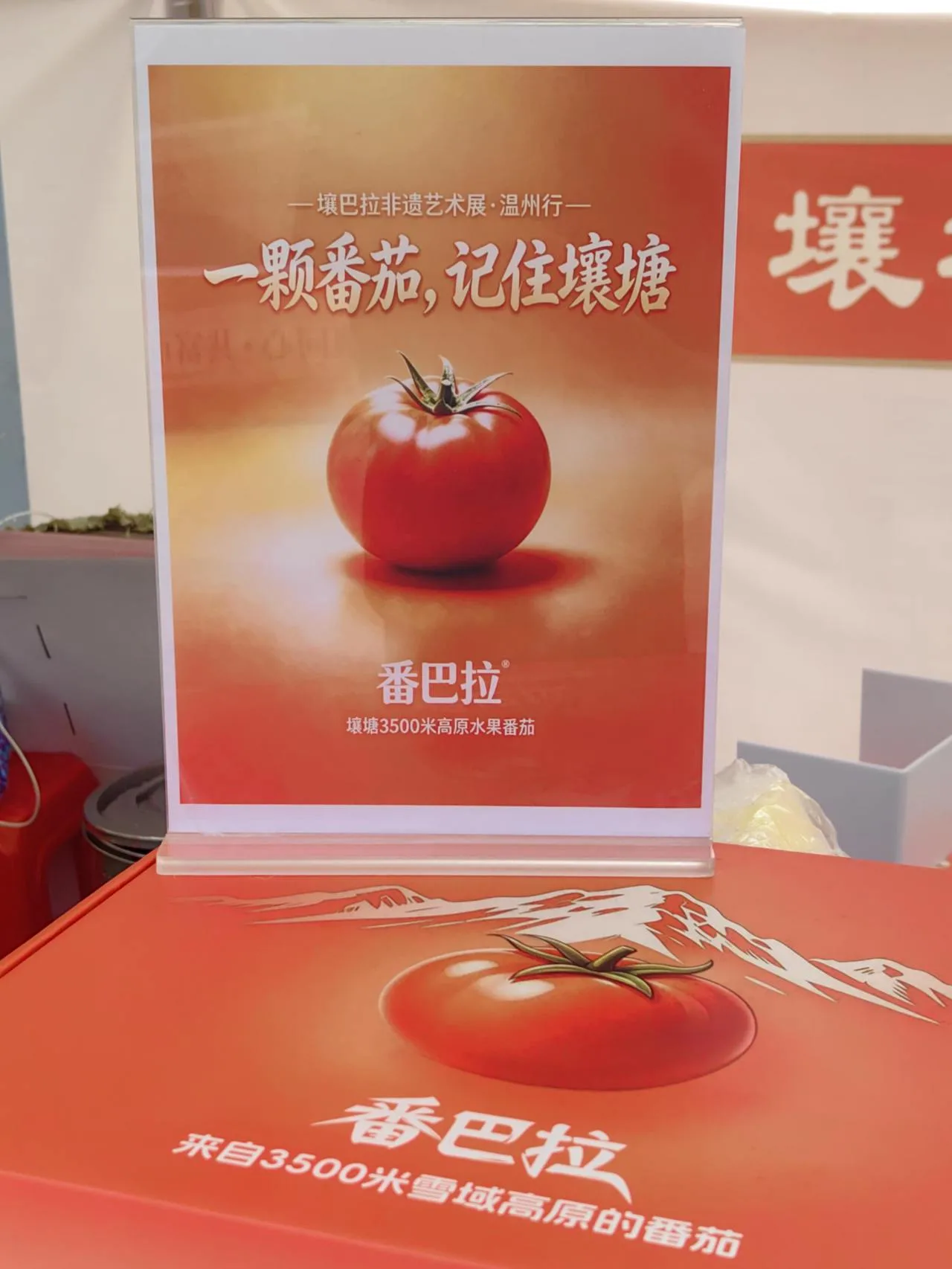 根本来不及补货！温州人在高原种出“番巴拉”
