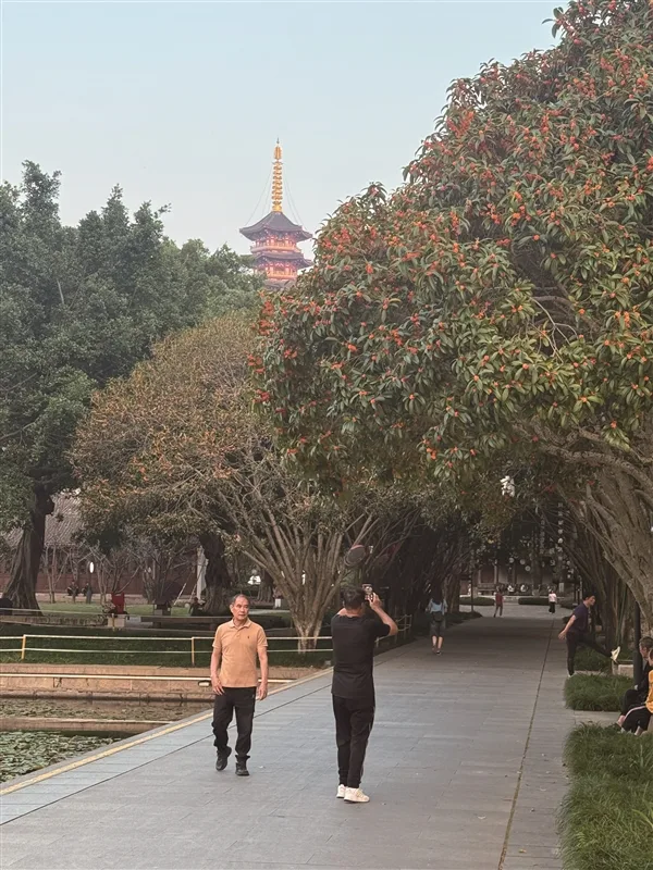 桂花闻香刷屏,你get了吗?有人寻到新商机 - 配图3