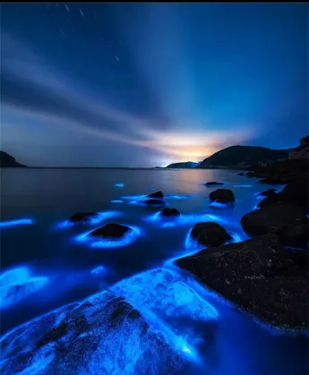 温州的山海本色,都藏在这张美丽自然地图里 - 配图6
