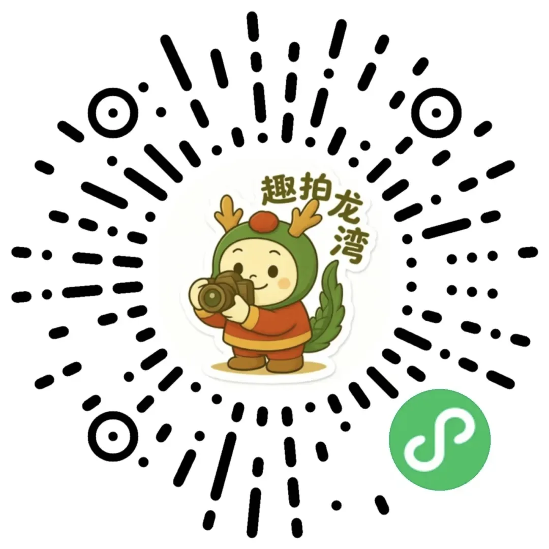 龙湾向青年发出“趣拍”邀约 - 配图4