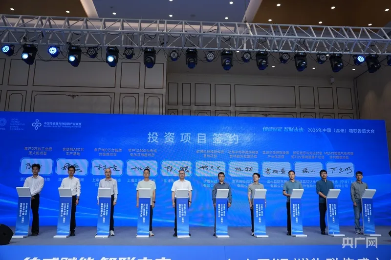 从“中国电器之都”到“感知高地”：一场产业跃迁的乐清逻辑 - 配图2