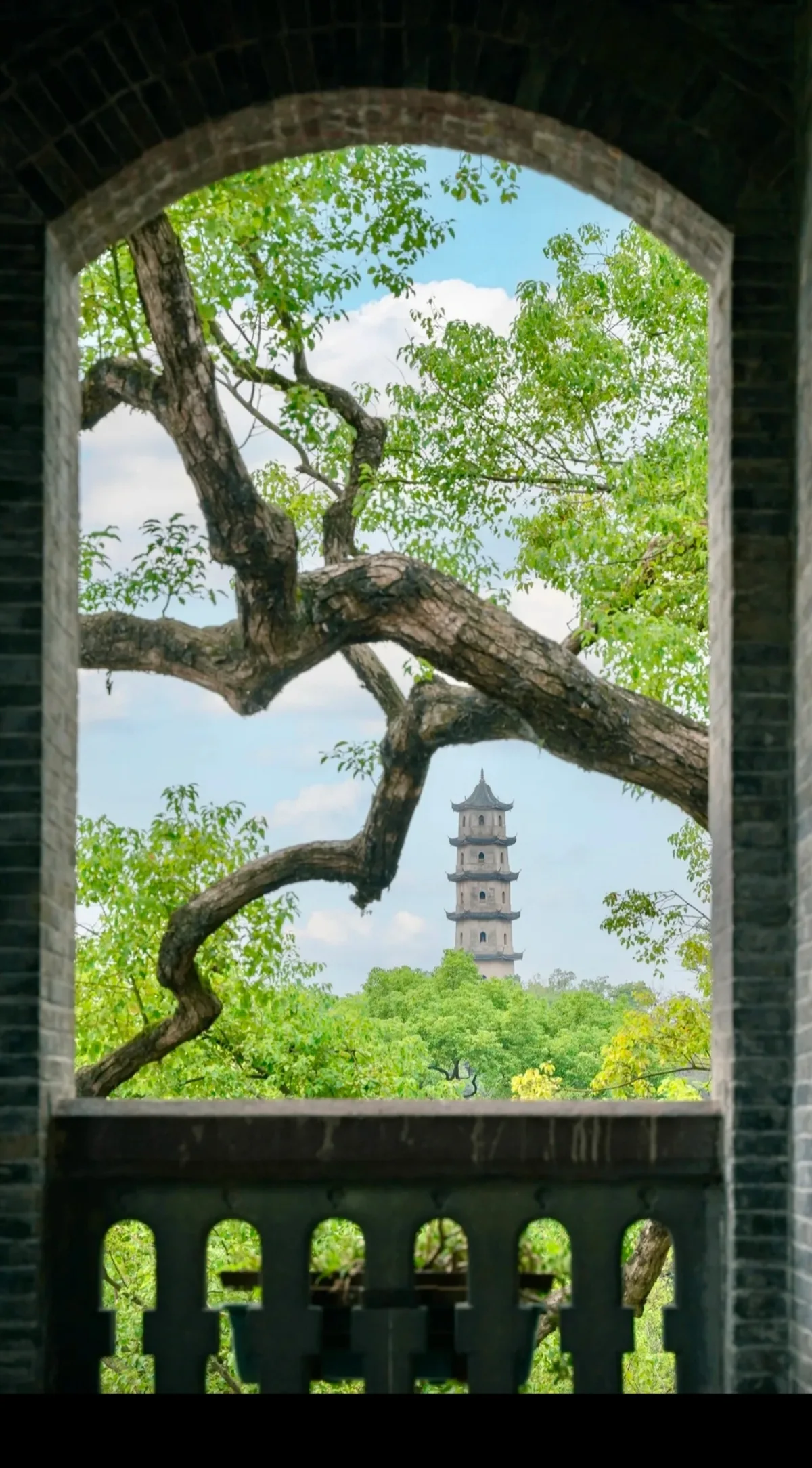 重阳陪长辈游山海，温州这些景区免票、半价！ - 配图9