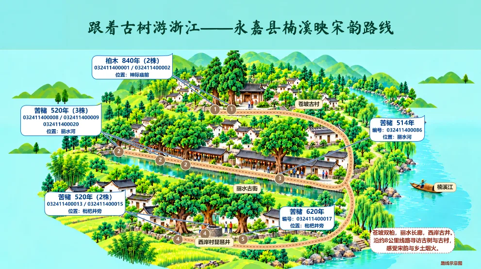 永嘉“楠溪映宋韵”入选省级古树名木旅游精品线路 - 配图2