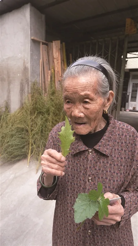 每天抿口白酒院中自种草药 105岁的她活出豁达人生