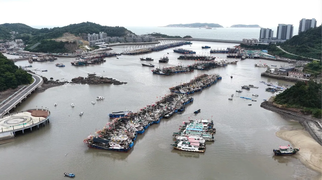 船进港锚抛牢 洞头496艘渔船全部落实避风管控 - 配图2