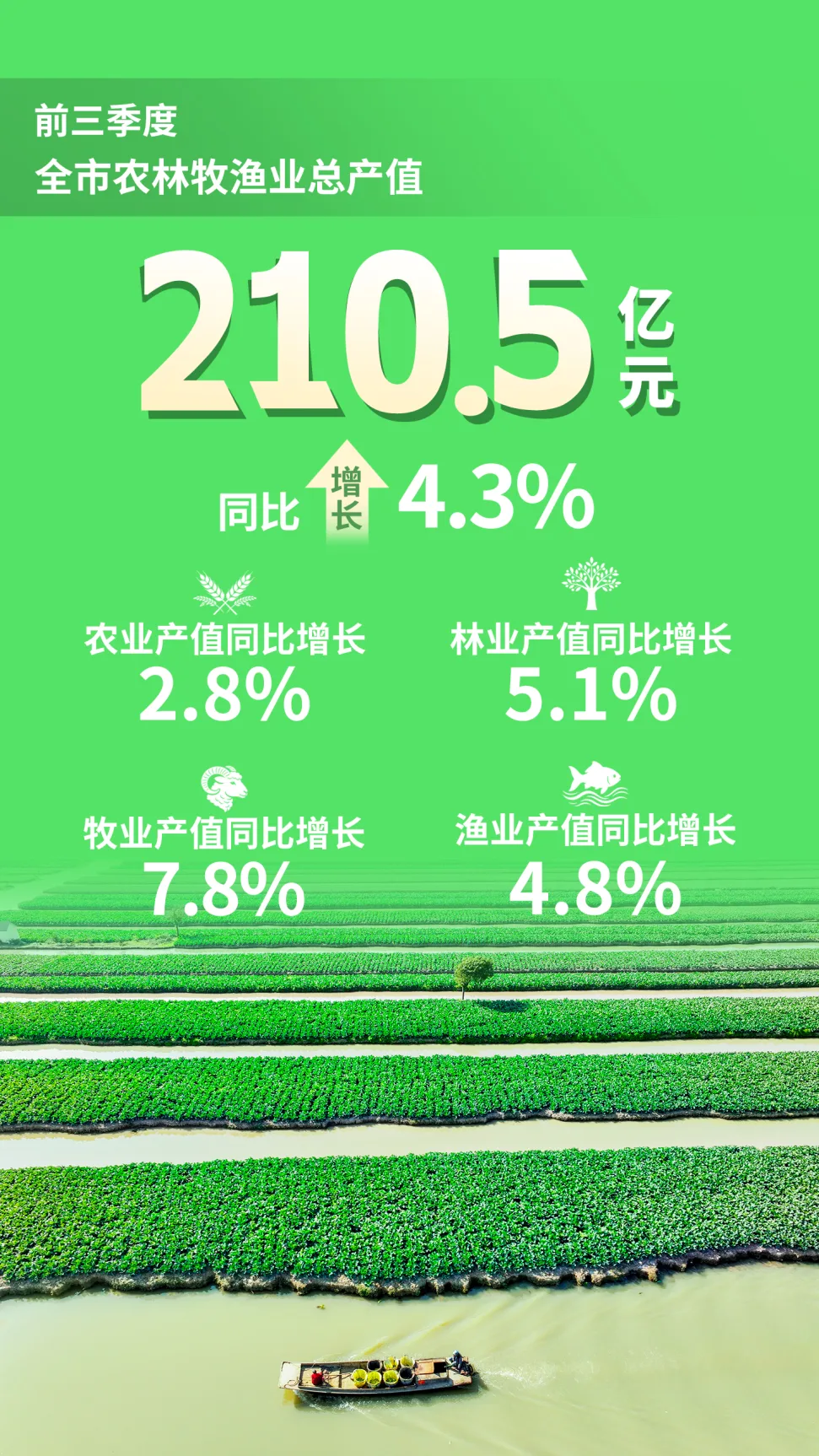前三季度温州经济运行情况 - 配图2