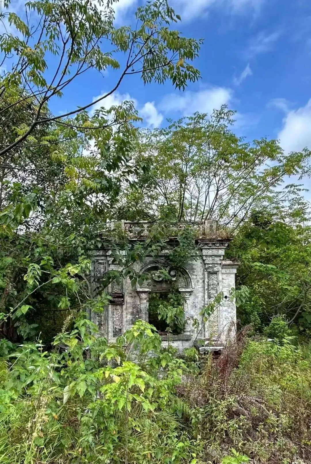 三垟湿地走出的“点灯人”:高俊青与温州第一盏电灯 - 配图5