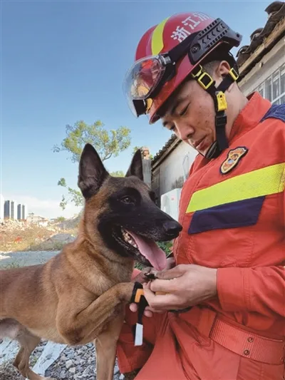 “生命雷达”搜救犬到底有多厉害？记者现场直击