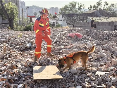 “生命雷达”搜救犬到底有多厉害？记者现场直击 - 配图2