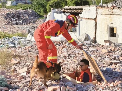 “生命雷达”搜救犬到底有多厉害？记者现场直击 - 配图3