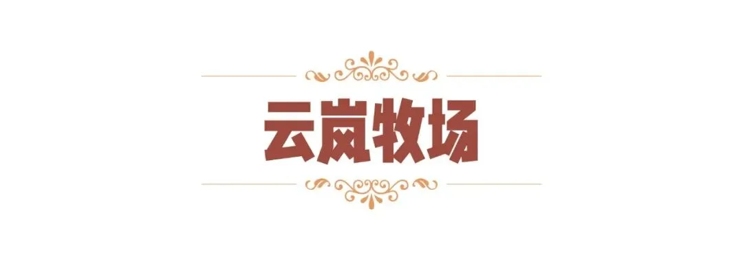 秋假来温州，娃的秋假，你的假期！ - 配图42