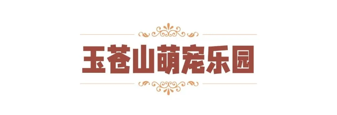 秋假来温州，娃的秋假，你的假期！ - 配图70
