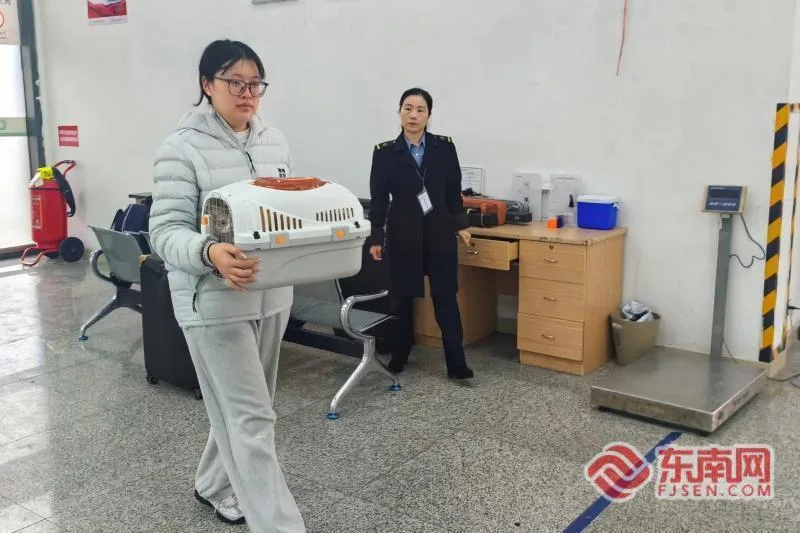 新春走基层 | 带着“毛孩子” 坐高铁回家过年