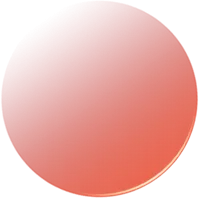 向总书记报告：八闽春天的回响