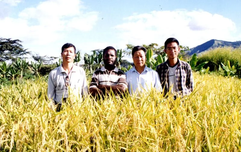 二十八载援外路 一株菌草连世界