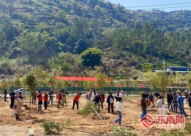两岸姐妹共植同心林写下心愿：让情谊像大树一样根深叶茂