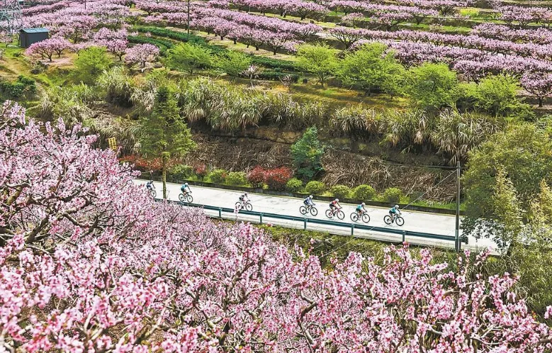 趁着春天，开启一场福建“骑”妙之旅