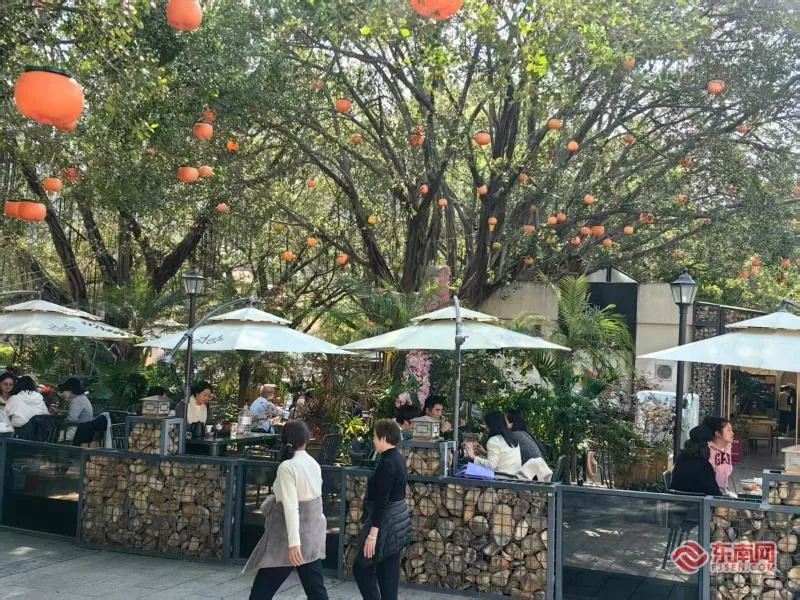 春日里的福建 | 在一壶茶、一条路上品味幸福