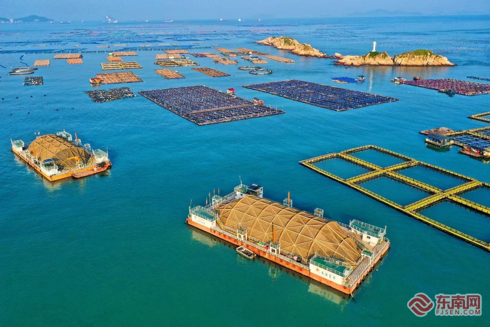 逐梦深蓝筑高地 福建加快建设现代海洋产业体系